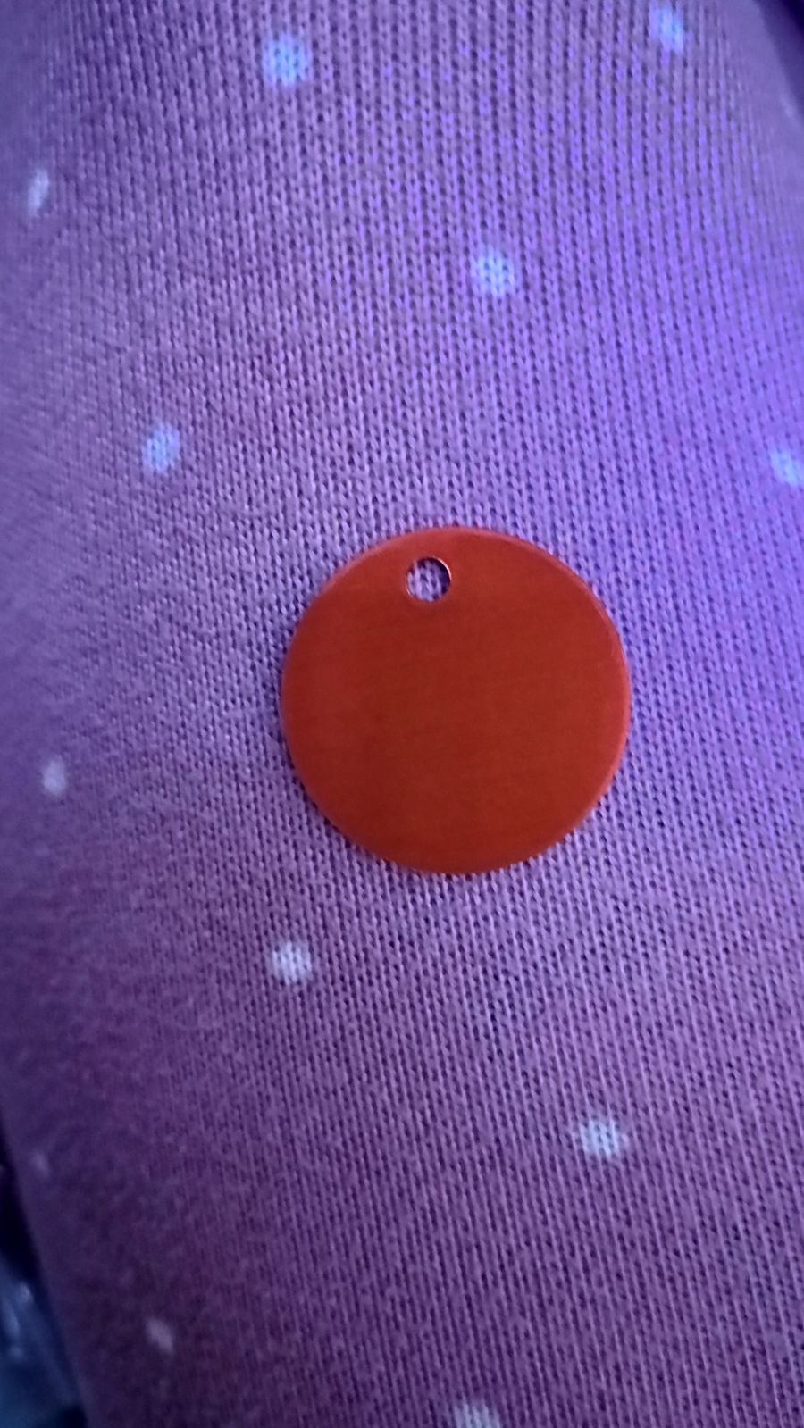 Engraved Pet Tag