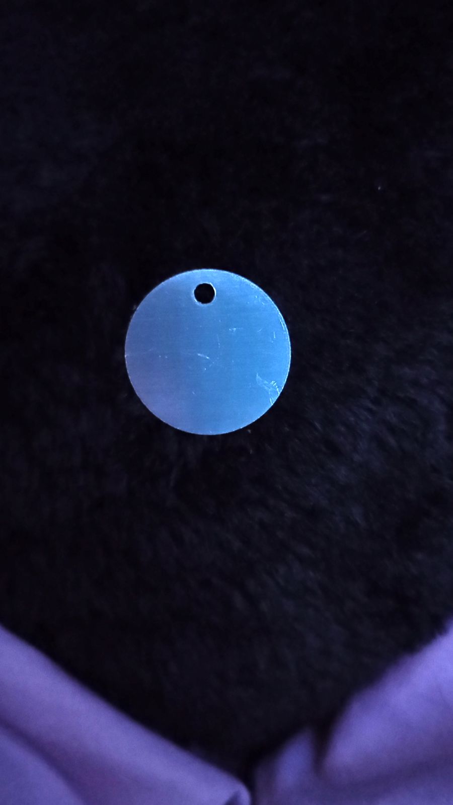 Engraved Pet Tag