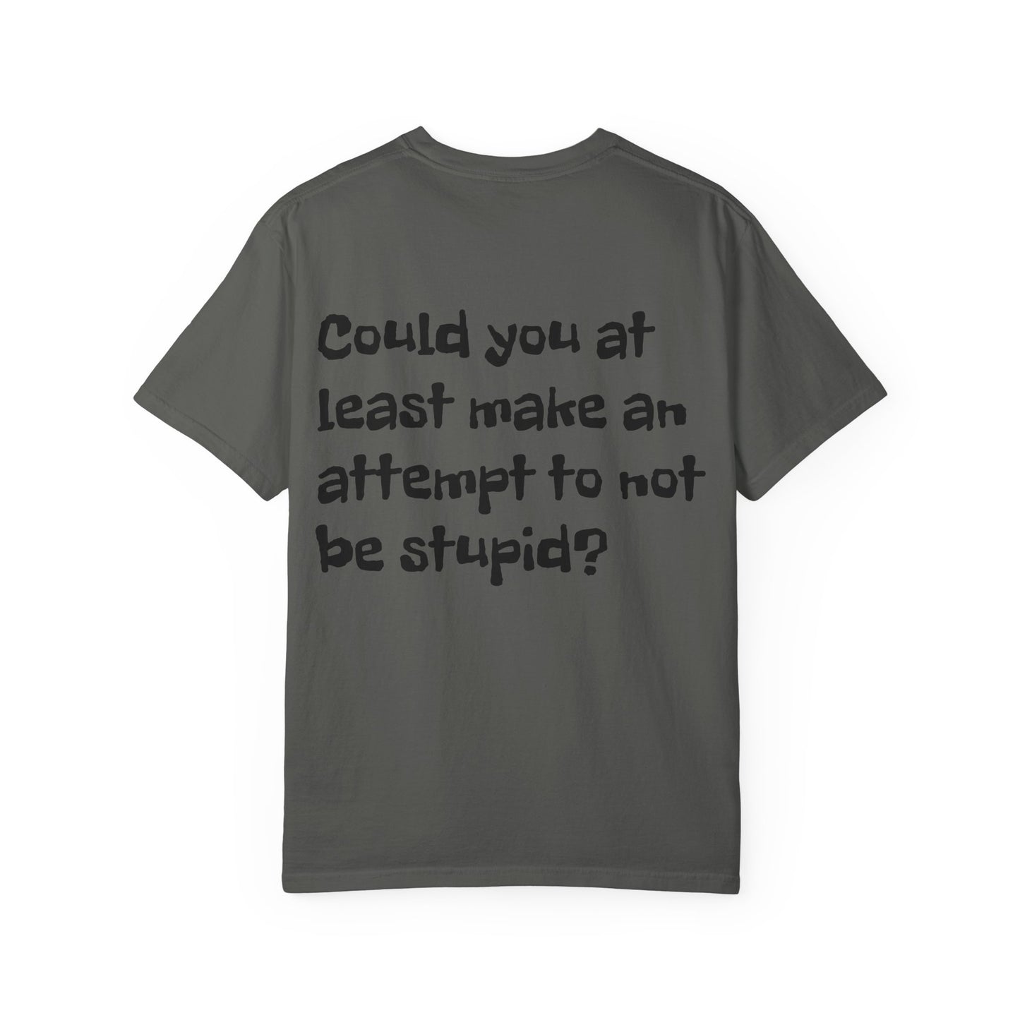 "Have You Ever Tried Not Being Stupid?" Sarcastic Graphic Tee