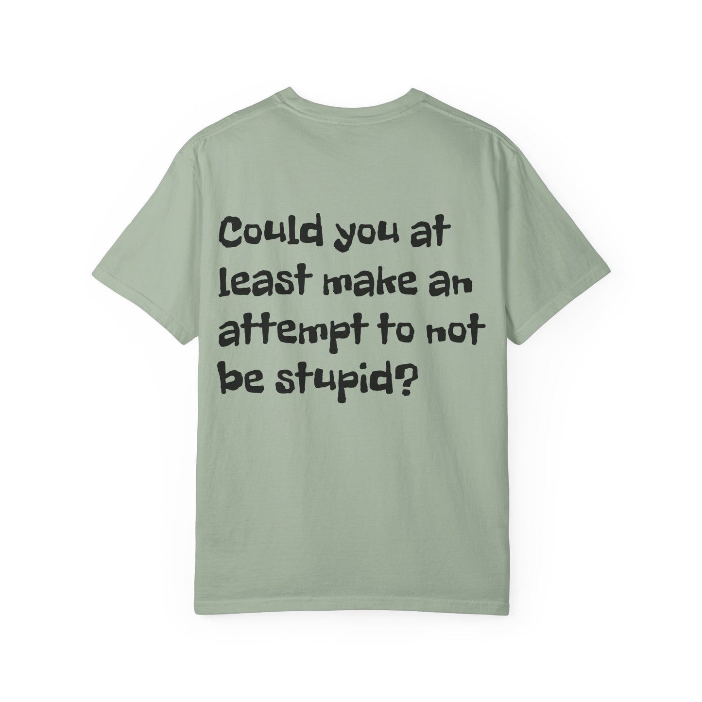 "Have You Ever Tried Not Being Stupid?" Sarcastic Graphic Tee